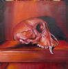 "Juvenile Baboon Skull 26"