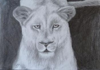 "Lioness"
