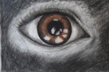 "Brown Eye"