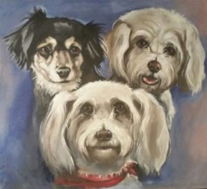 "The Fur Kids"