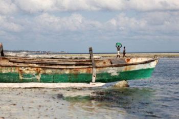 "The Boat"