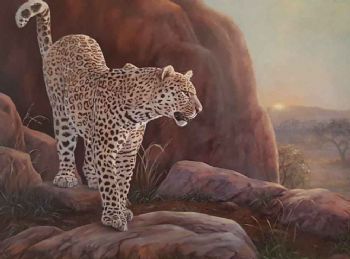 "Leopard"