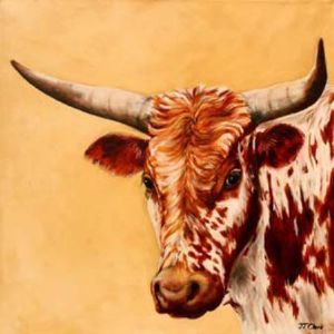 "Nguni Head - Meredith"