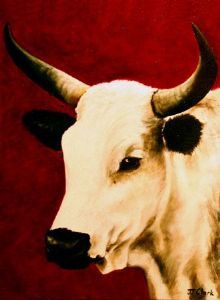 "Nguni Head - Katrien"