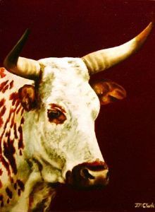 "Nguni Head - Maggie"