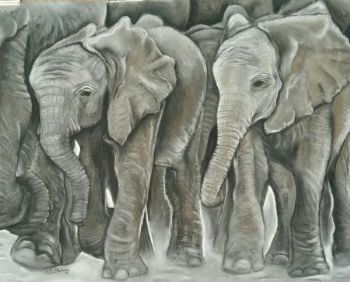 "Elephants On The Go"