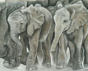 "Elephants On The Go"