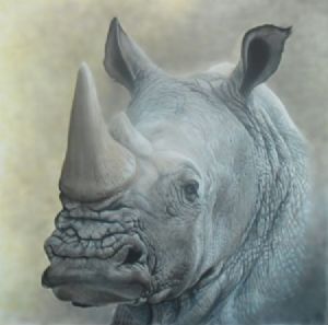 "Rhino"