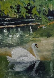 "Mute Swan"