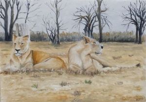 "Waiting For The King"