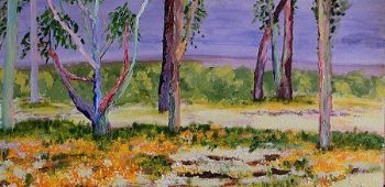 "Blue Gum Trees"