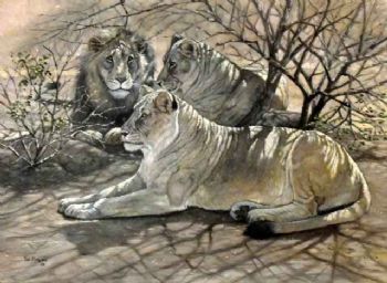 "In the Shade"