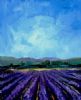 "Lavender Farm"