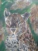 "Male Leopard - Dangerous in Action"