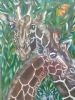 Giraffe Love