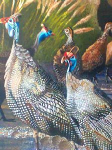 "Domesticated Guineafowl"