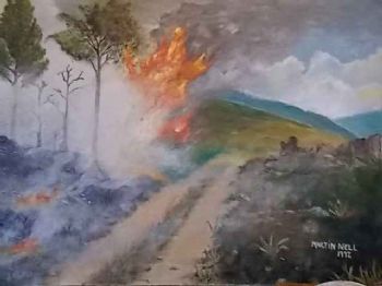 "Plantation Fire"