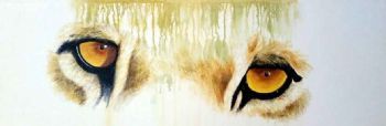 "Eye to Eye"