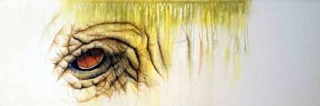 "Eye to Eye 3"
