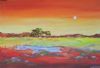 "African Sky at Dusk"