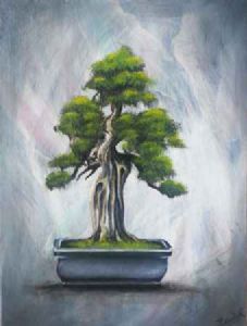 "Bonsai Tree"
