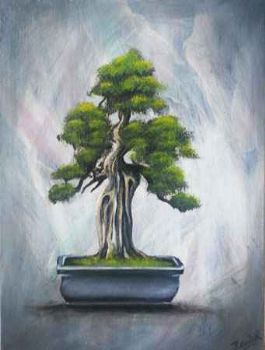 "Bonsai Tree"
