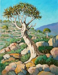 "Quiver Tree Forest"