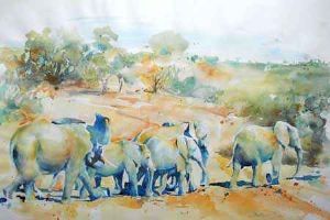 "The Herd"