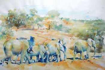 "The Herd"