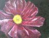 "Purple Flower in the Dark"