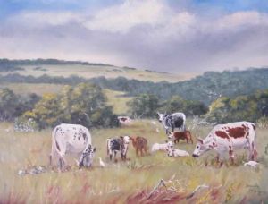 "Nguni Cattle Farm Port Alfred"