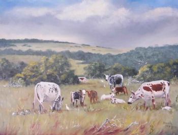 "Nguni Cattle Farm Port Alfred"