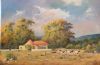 "Sheep farm West Cape"