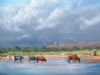 "Nguni Cattle at the Wild Coast"