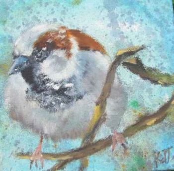 "Sparrow 3"