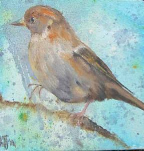 "Sparrow 4"