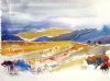 "Drakensberg Foothills"