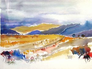 "Drakensberg Foothills"