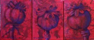 "Red Poppy Seed Pods"