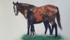 "Thoroughbred Mare and Foal"