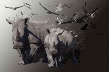 "Rhino and Calf"