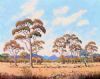 "Bushveld Scene with Fallen Trees"