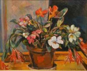 "Flowering Potplant Ref 411"