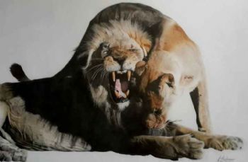 "Wild Africa"
