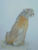 "Watchful Cheetah"