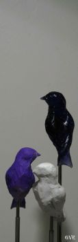 "Birds"