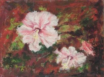 "Pink Hibiscus"