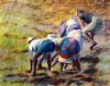 "The Paddy Fields  "