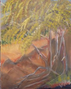 "Trees in a Donga"