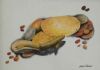 "The Brown Trout"